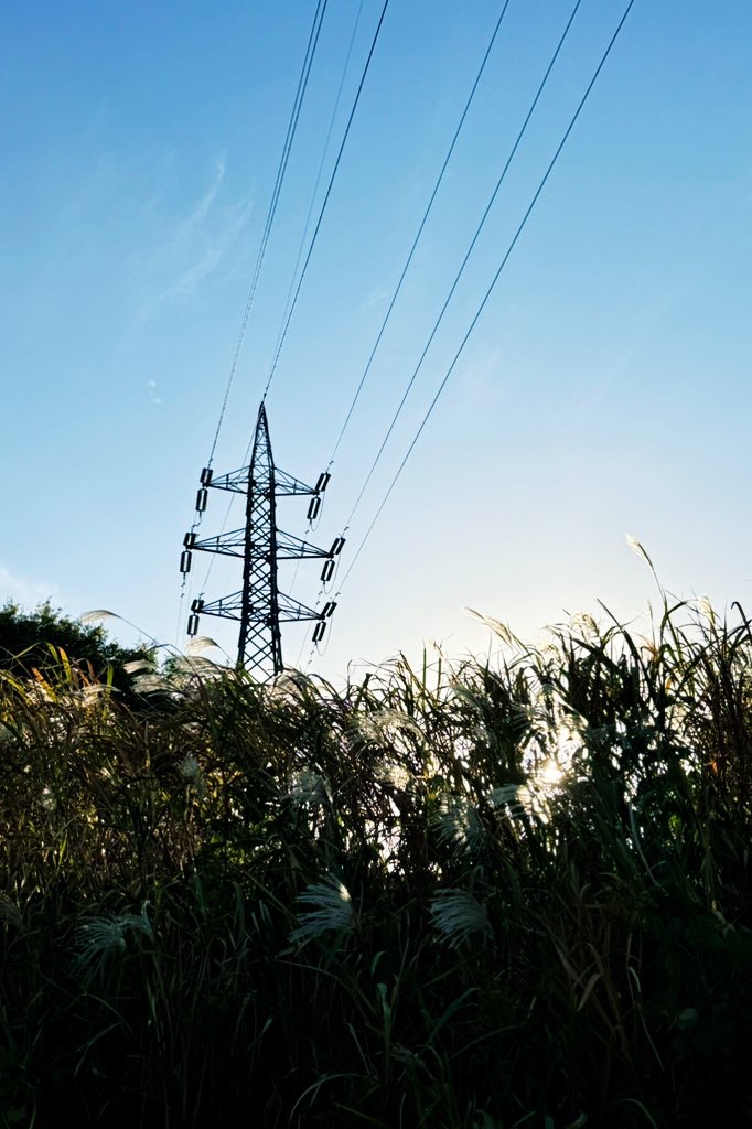 最近の日課、ウォーキング🚶‍♀️page-visual 最近の日課、ウォーキング🚶‍♀️ビジュアル